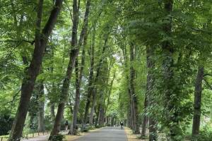  Exklusive Gartenwohnung im Kreuzviertel - Wohnen auf einer ganzen Etage