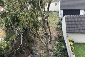 Klever Straße 21, 47059 Duisburg – Klever Straße 21, 47059 Neuenkamp, Duisburg – Vorschaubild 2