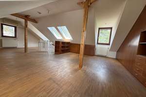 Modernes Einfamilienhaus in schöner Randlage mit Kamin, Garage, großer Garten und Dachterrasse! – 60599 Sachsenhausen-Süd, Frankfurt am Main – Vorschaubild 20