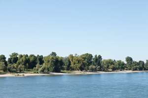 Property thumbnail 43