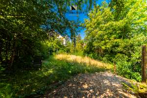 Es grünt so schön und Grün unterm Killesberg...

Viel Platz mit viel Garten und sooo viel Charme.. – 70469 Bahnhof Feuerbach, Stuttgart – Vorschaubild 26