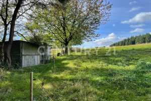 Ihr Traum vom Pferdehof in der Vulkaneifel – Mayen-Koblenz (Kreis) – Vorschaubild 25
