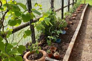 Property thumbnail 5