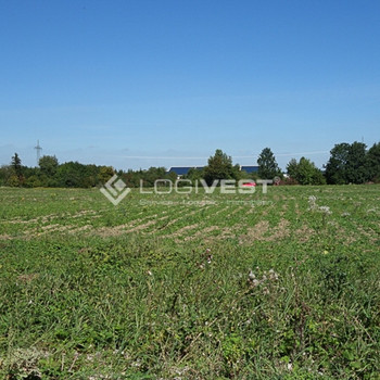 Großzügiges Gewerbegrundstück mit vielseitigem Nutzungspotenzial