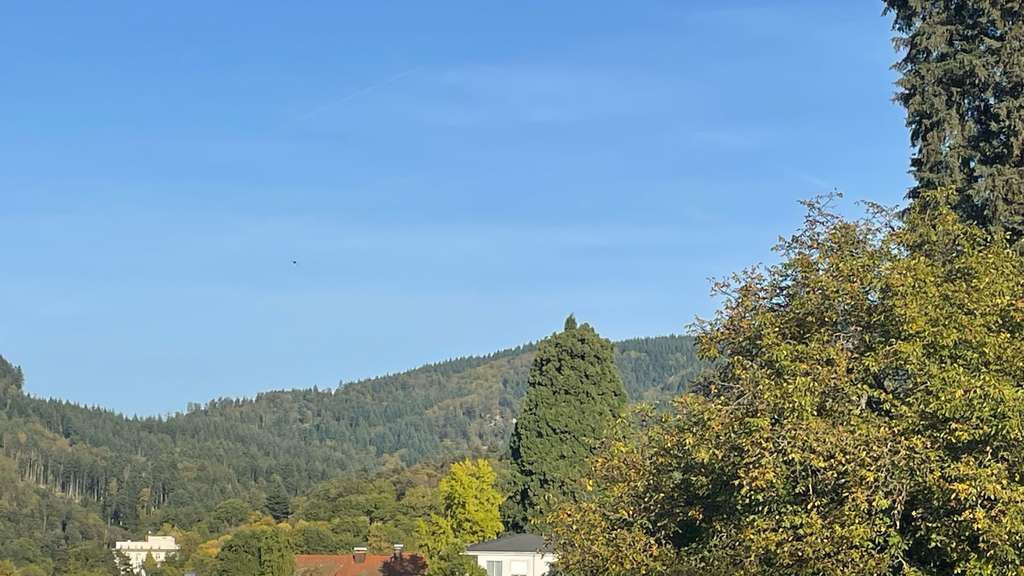 Immobilie in Badenweiler - Gemütliche Wohnung 2,5 Zimmer Wohnung in Badenweiler - Bild 2