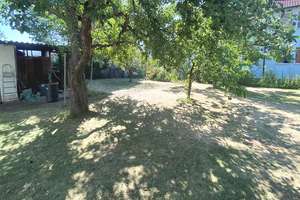 Neu-Ulm: Modernisiertes Mehrfamilienhaus (DHH)  mit idyllischem Garten in Donau-Nähe – Die vollständige Adresse der Immobilie erhältst du vom Anbieter., 89231 Neu-Ulm – Vorschaubild 6