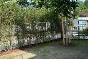ERSTBEZUG mit GARTEN (Whg 1): Wunderschöne 3-Zimmer-Wohnung in kleinem Mehrfamilienhaus – Leidingerplatz 1, 80992 Moosach-Bahnhof, München – Vorschaubild 5