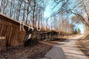 Idylle pur: Vielfältiges Anwesen mit Gästezimmern und großzügigem Grundstück in Altendorf – Die vollständige Adresse der Immobilie erhältst du vom Anbieter., 96260 Weismain – Vorschaubild 51