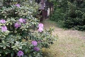 Ruhig gelegenes Reihenhaus ca. 125m² mit schönem Garten in der Karlsruher Waldstadt – Die vollständige Adresse der Immobilie erhältst du vom Anbieter., 76139 Waldstadt, Karlsruhe – Vorschaubild 12
