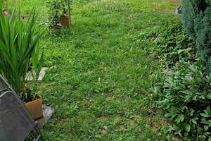 Schöne, helle und ruhige 3 Zi. Wohnung in Heilbronn-Sontheim, EBK, EG mit Gartenzugang – Mauserstraße ., 74081 Sontheim, Heilbronn – Vorschaubild 13