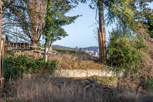 Baugrundstück zum Bodenrichtwert in bester Lage Sonnenbergs – Wiesbaden – Vorschaubild 9