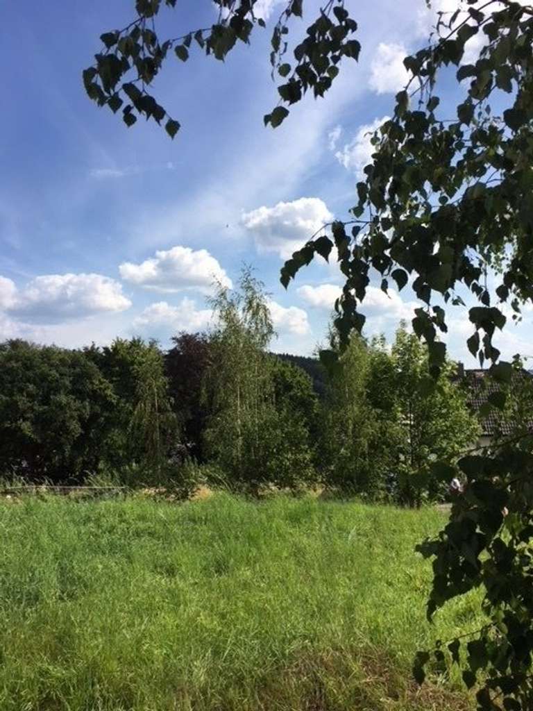 Immobilie in Großrückerswalde - ZUHAUSE IST LEBENSGLÜCK UND KINDERLACHEN - BAUEN SIE IHR EIGENES HAUS MIT GARTEN!                    - Bild 1