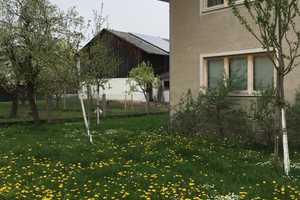  5-Zimmer-EFH mit gehobener Innenaussattung, große Scheune, großer Obstgarten, ruhig        – Passau (Kreis) – Vorschaubild 19
