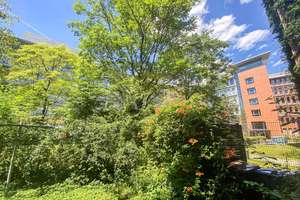 Property thumbnail 15