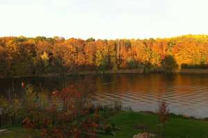 Property thumbnail 31