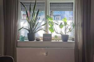 Schöne Erdgeschoss-Wohnung  im Wasserviertel – Die vollständige Adresse der Immobilie erhältst du vom Anbieter., 47051 Altstadt, Duisburg – Vorschaubild 4