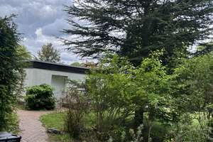 geschmackvolles Haus,auf riesigem Grundstück liebevoll gestaltet und mit Baupotenzial ... – Die vollständige Adresse der Immobilie erhältst du vom Anbieter., 14167 Zehlendorf, Berlin – Vorschaubild 92