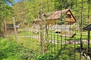 Bayern, Oberpfalz, nahe Zell - Wohnhaus mit Bach, Schwimmteich und Offenstall für Pferde – Die vollständige Adresse der Immobilie erhältst du vom Anbieter., 93199 Zell – Vorschaubild 13