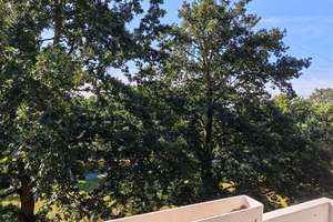 Braunschweig- Weststadt: 80 m² | 3 Zimmer | Süd-Loggia mit Parkblick | ruhige Lage | provisionsfrei – 38120 Weststadt, Braunschweig – Vorschaubild 3