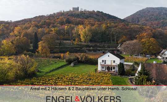Einzigartig: Areal mit 2 Häusern, 2 Bauplätzen und Weitblick unter Hambacher Schloss!