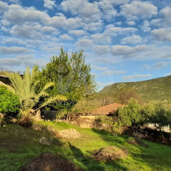 Immobilien zum Verkauf in Benaocaz