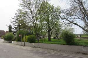 GROSSZÜGIGES 1-2 FAMILIENHAUS MIT 2 TERRASSEN, GROSSER GARAGE UND GARTEN – Die vollständige Adresse der Immobilie erhältst du vom Anbieter., 67229 Laumersheim – Vorschaubild 41
