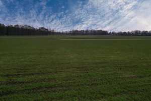 Doppelhaushälfte mit Blick ins Grüne***4195 G in Gütersloh-West – Gütersloh (Kreis) – Vorschaubild 1