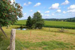 Property thumbnail 27