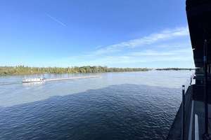 Luxuriöses Wohnen am Zollhafen mit spektakulärem Rheinblick – Die vollständige Adresse der Immobilie erhältst du vom Anbieter., 55118 Neustadt, Mainz – Vorschaubild 2