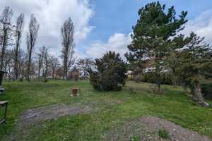 Erstaunlich großes Anwesen mit idyllischen Garten für die ganze Familie – Nordsachsen (Kreis) – Vorschaubild 2