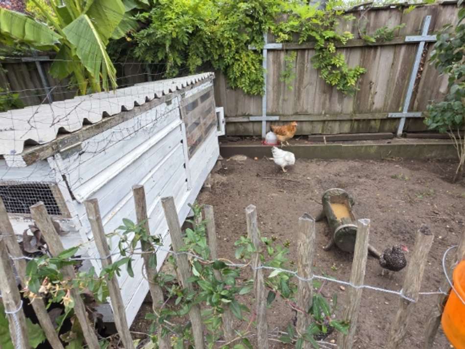 VK-1517 Aussenbereich Scheune