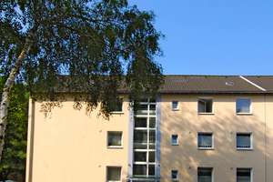 Zuhause zählst nur Du! – Lindenhof 16, 45891 Erle, Gelsenkirchen – Vorschaubild 2