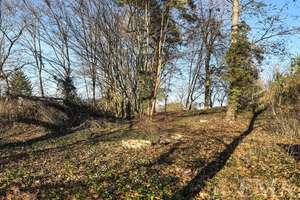 Zwei Bauplätze und eine charmante Altbauvilla auf traumhaftem Waldgrundstück – Die vollständige Adresse der Immobilie erhältst du vom Anbieter., 14612 Falkensee – Vorschaubild 33