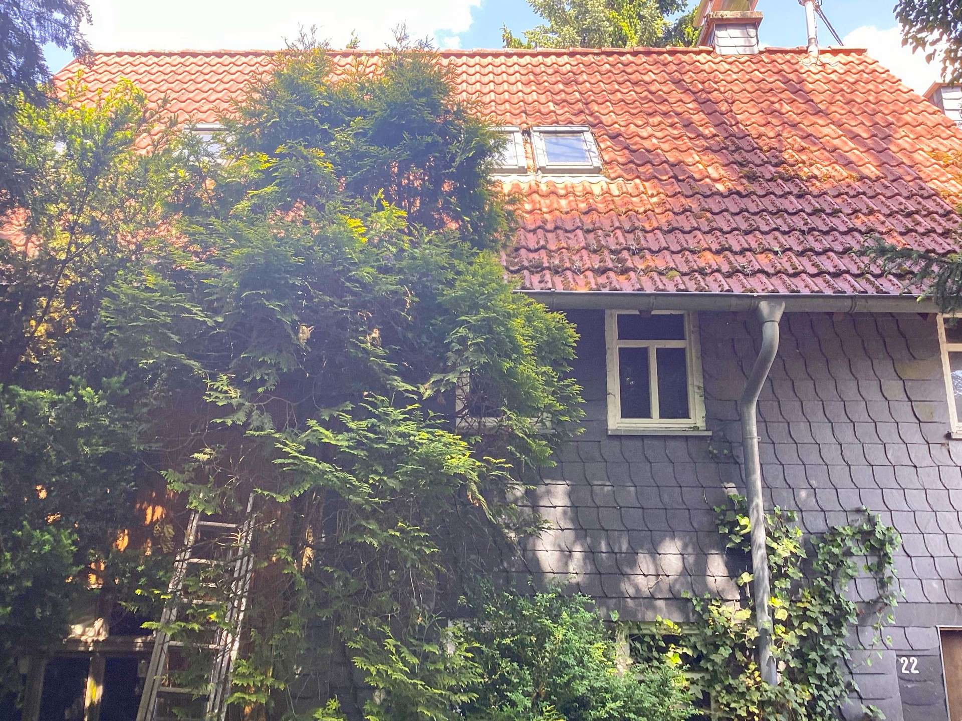 *RESERVIERT* Fachwerkhaus mit Charme und Potenzial – Handwerkertraum auf großem Grundstück in Seck, Westerwaldkreis – Bild 1