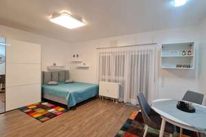 Luxuriöse 1 Zi.Wo, ganz renoviert, mit großer Terrasse, komplett ausgestattet für 1 oder 2 Personen – Hardstraße 54, 69124 Kirchheim, Heidelberg – Vorschaubild 29