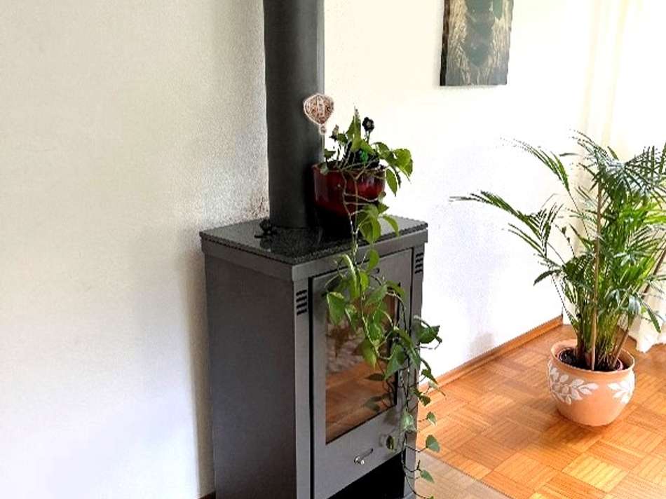 Ansicht Detail Holzofen UG Whg