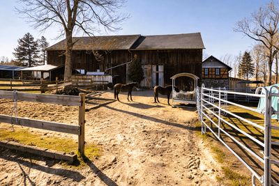 Exklusives Anwesen für Pferdeliebhaber – 11,48 ha & Reitplatz in Alleinlage