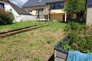 Charmantes Winzerhaus für Individualisten an der Mittelmosel mit großem Grundstück – Weidenborn 5, 54470 Bernkastel-Wittlich (Kreis) – Vorschaubild 18