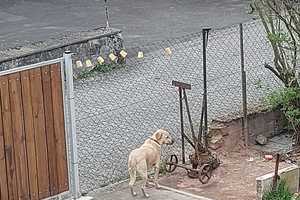 Preiswertes 7-Raum-Einfamilienhaus  bei Lauterecken  – Bad Kreuznach (Kreis) – Vorschaubild 13