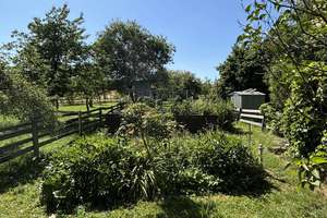 ***Doppelhaushälfte im Haus mit viel Platz, Kamin, Terrasse und großem Garten*** – Die vollständige Adresse der Immobilie erhältst du vom Anbieter., 63674 Altenstadt – Vorschaubild 15