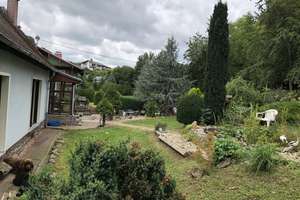 Mansfeld, EFH + Nebengebäude – Rammelburger Hauptstr.  7, 6343 Friesdorf – Vorschaubild 12
