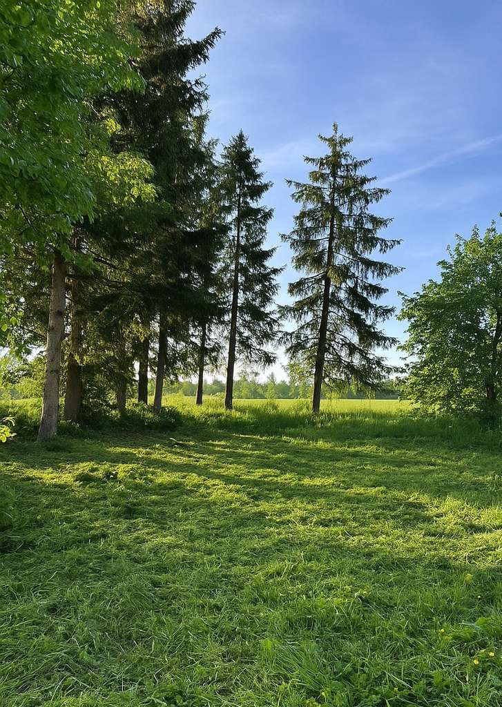 Rarität in Derichsweiler – Baugrundstück mit zwei Baufenstern, Panorama und Toplage