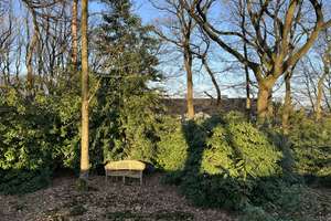 Briller Viertel - 4 Zimmerwohnung in denkmalgeschützter Villa mit Balkon und Garten- / Parknutzung – Am Buschhäuschen 37, 42115 Elberfeld West, Wuppertal – Vorschaubild 25