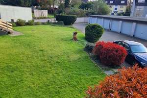 Helle 2,5-Zi.-Whg. + Balkon, Grandstraße, E-Bedingrade!* – Grandstraße 68, 45357 Dellwig, Essen – Vorschaubild 30