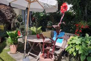 Helle Erdgeschosswohnung mit Wintergarten, großer Terrasse und wunderschönem Garten in München-Laim – Die vollständige Adresse der Immobilie erhältst du vom Anbieter., 80686 St. Ulrich, München – Vorschaubild 20