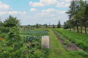 Zuhause gestalten: DHH inkl. Scheune und großem Garten in naturnaher Lage – Ostvorpommern (Kreis) – Vorschaubild 13
