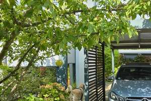 Großzügige Doppelhaushälfte mit Garten & Dachterrasse – Wohnen am Schlachtensee – Die vollständige Adresse der Immobilie erhältst du vom Anbieter., 14129 Zehlendorf, Berlin – Vorschaubild 8