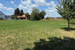 Hochwertiges DHH mit 123 m² Wohnfläche plus 496 m² Baugrundstück in Landau an der Isar – Hainbuchenweg 18, 94405 Landau an der Isar – Vorschaubild 4