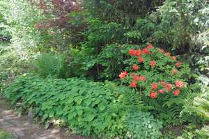 Haus, Hof und riesen Garten, viel Raum für die Familie – Die vollständige Adresse der Immobilie erhältst du vom Anbieter., 63694 Limeshain – Vorschaubild 46