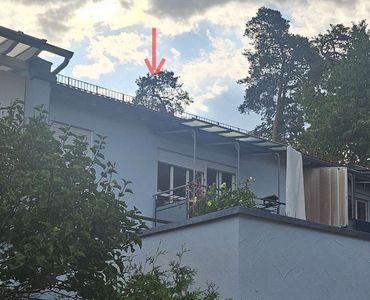 Attraktive 2 Zimmer-Wohnung mit Balkon in zentrumsnaher Lage